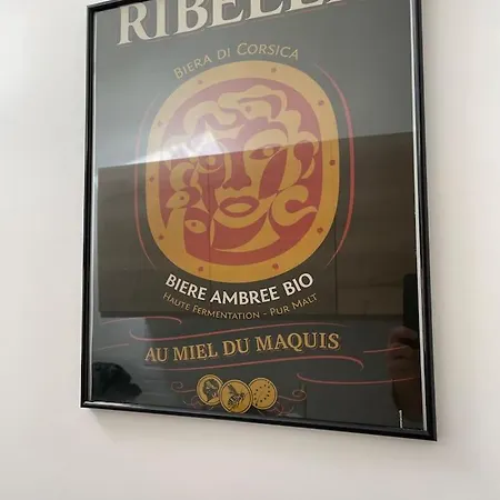 Apartment 2 Personnes Plein Centre Rue Pietonne Ajaccio (Corsica)